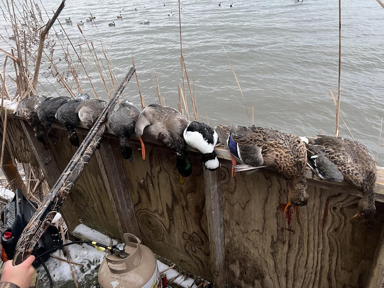 Successful hunt or fishing trip 11