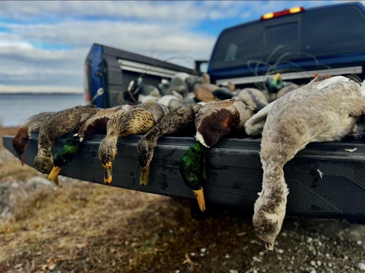 Successful hunt or fishing trip 4