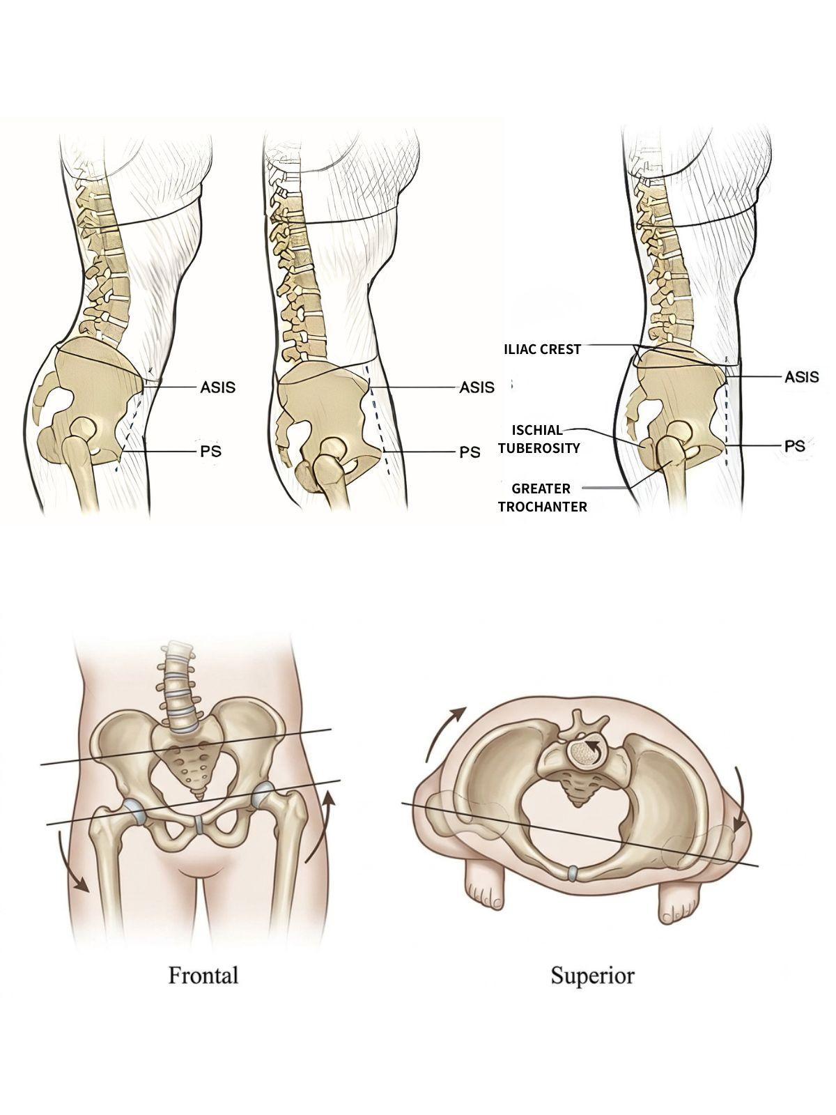 pregnancy & postpartum chiropractic.jpg