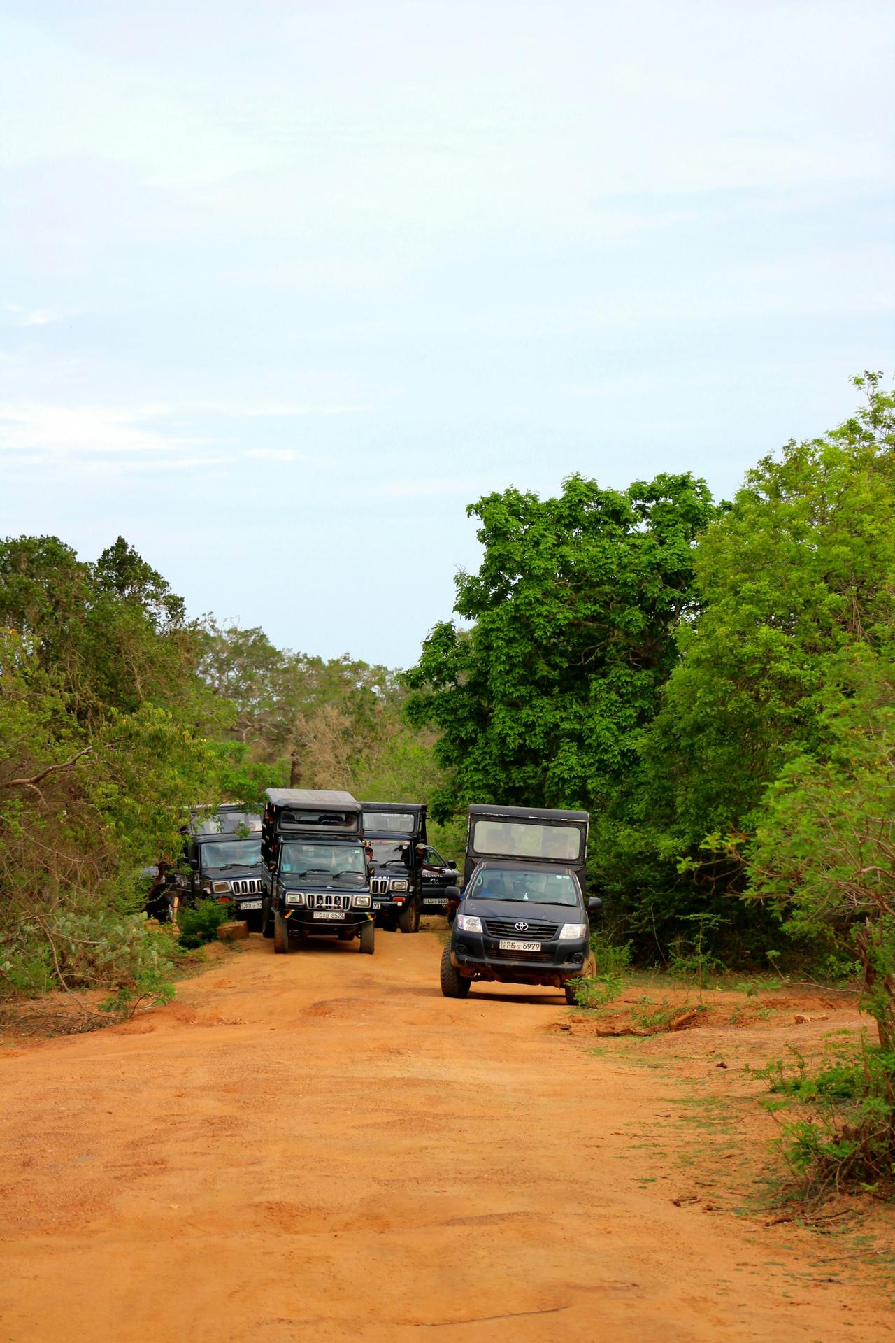 Udawalawe national park - tour