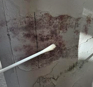 screenshot 2025-05-25 111924.gif