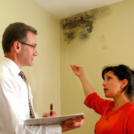 mold-pix-020d-copy-460x460.jpg