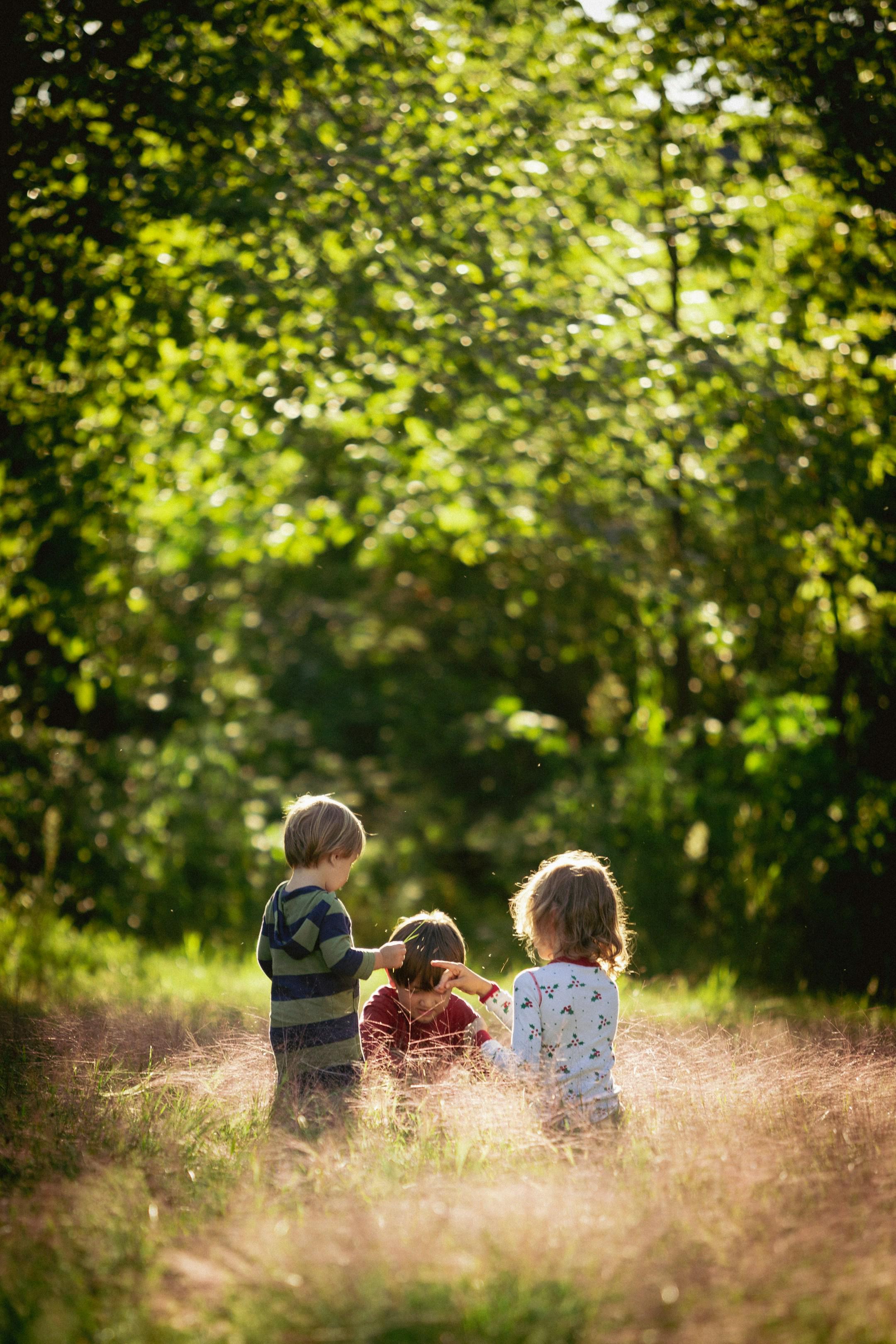 Children playing in sunlit grass