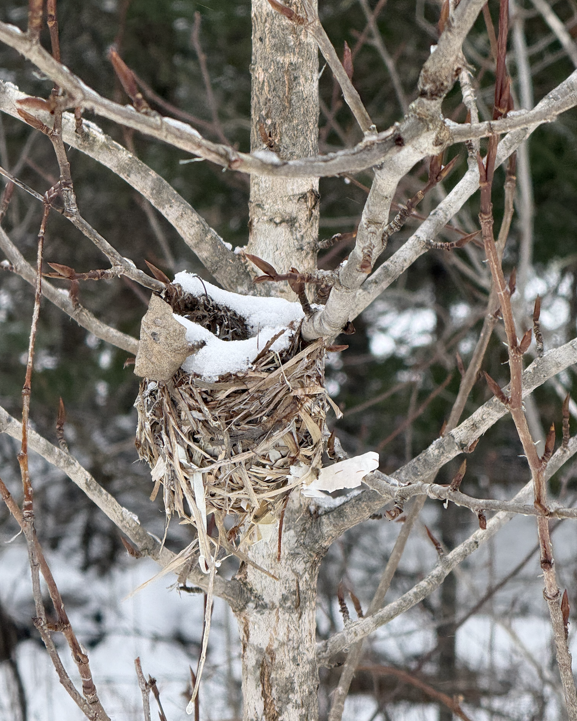 screenshot 2025-12-31 at 3.49.21 pm.png