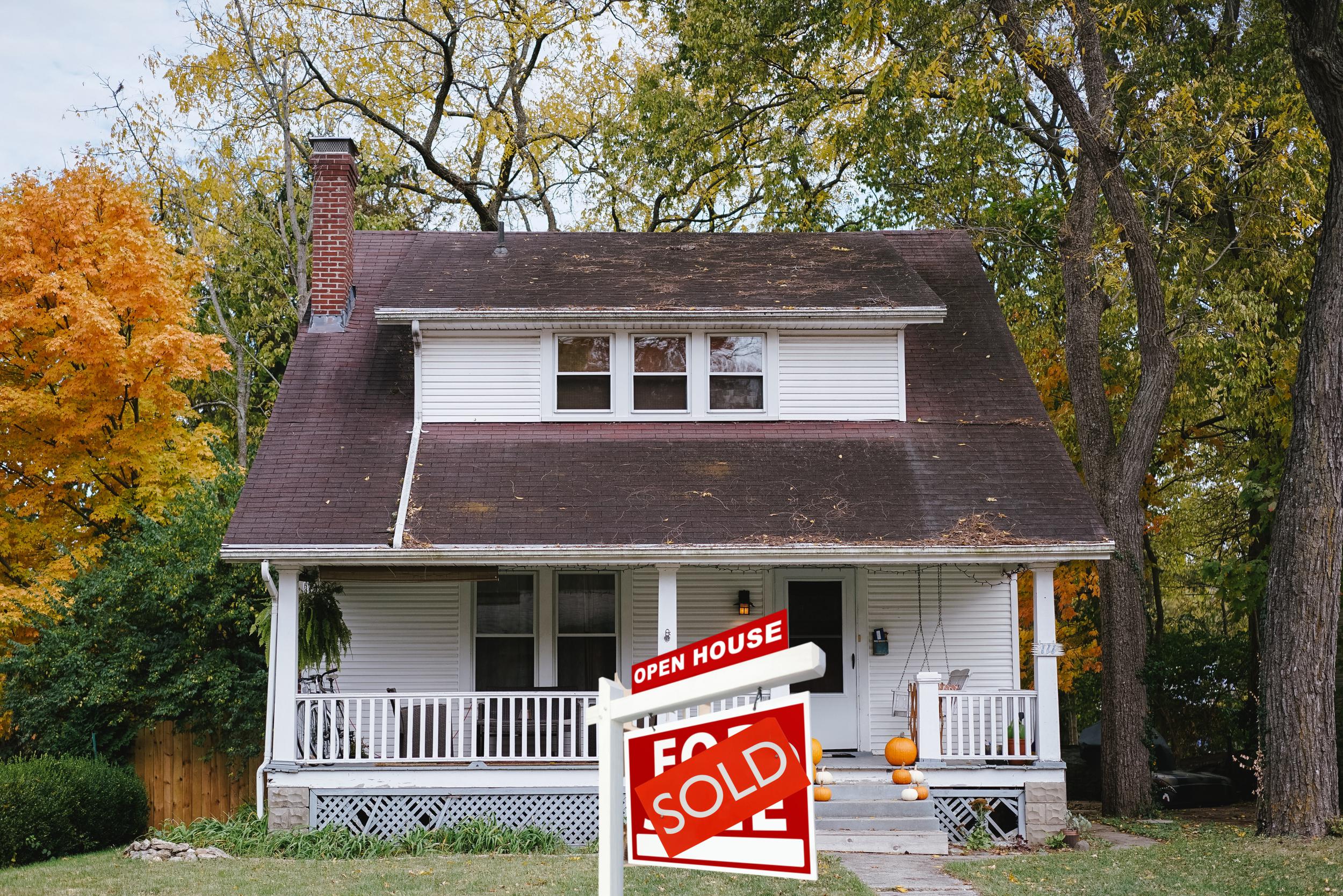 novation article featured image (1).jpg