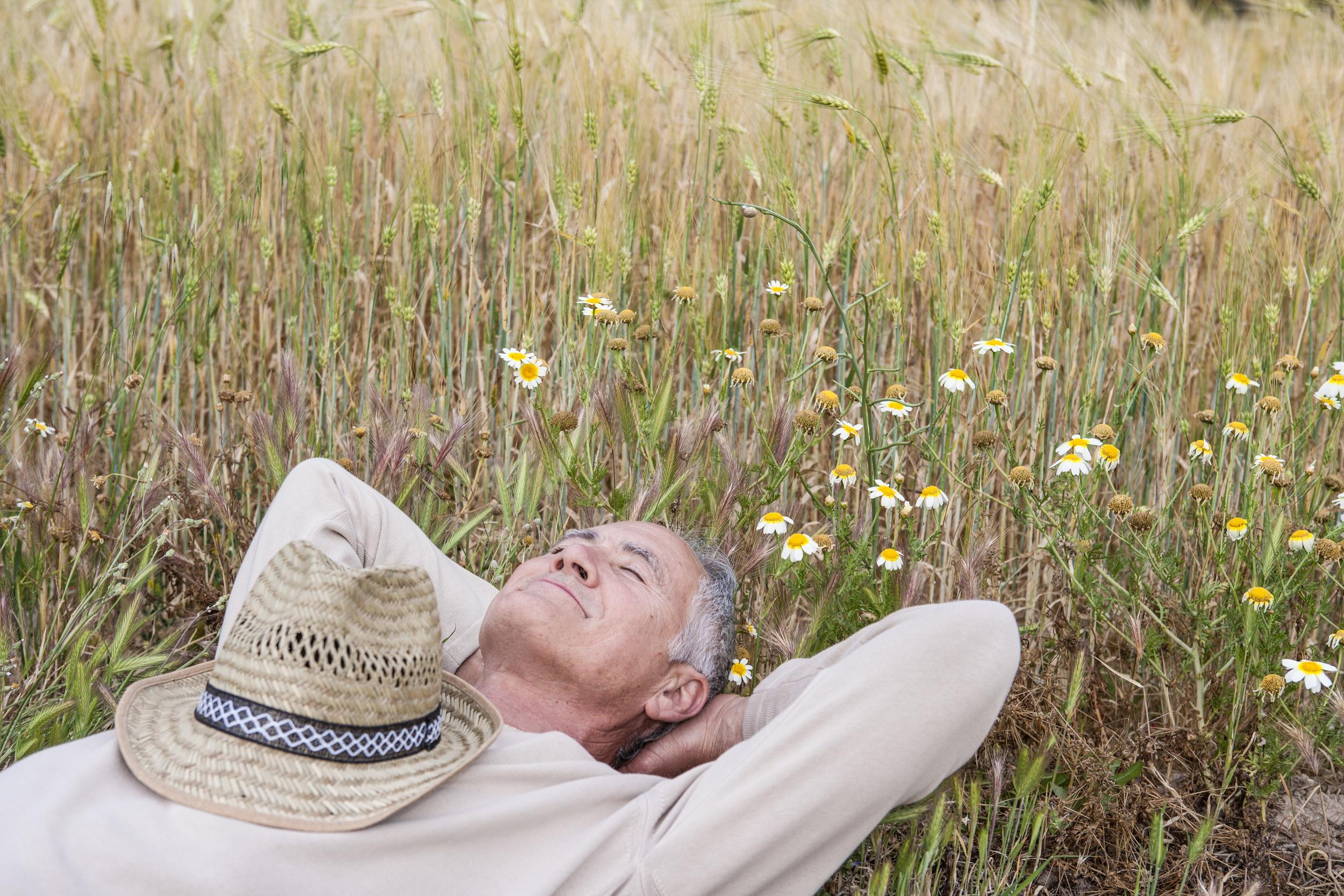 man-with-hands-behind-head-lying-down-in-wildflowe-2026-01-09-09-25-19-utc.jpg