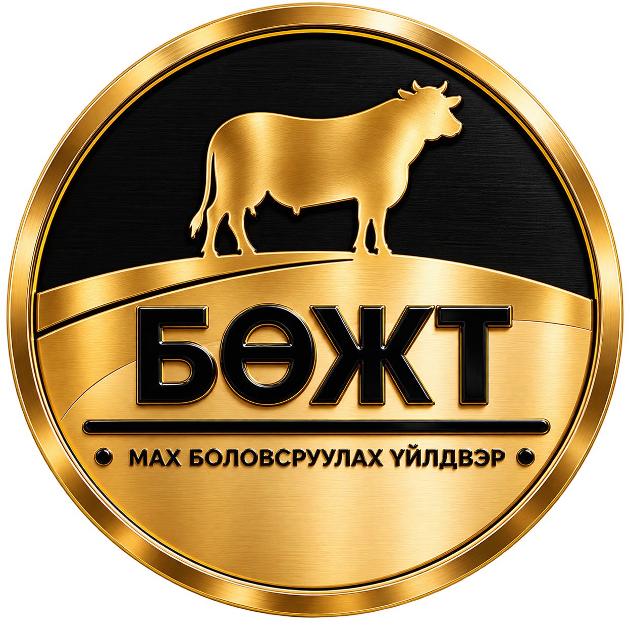 BUJT LLC