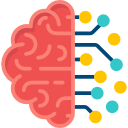 brain reg.png
