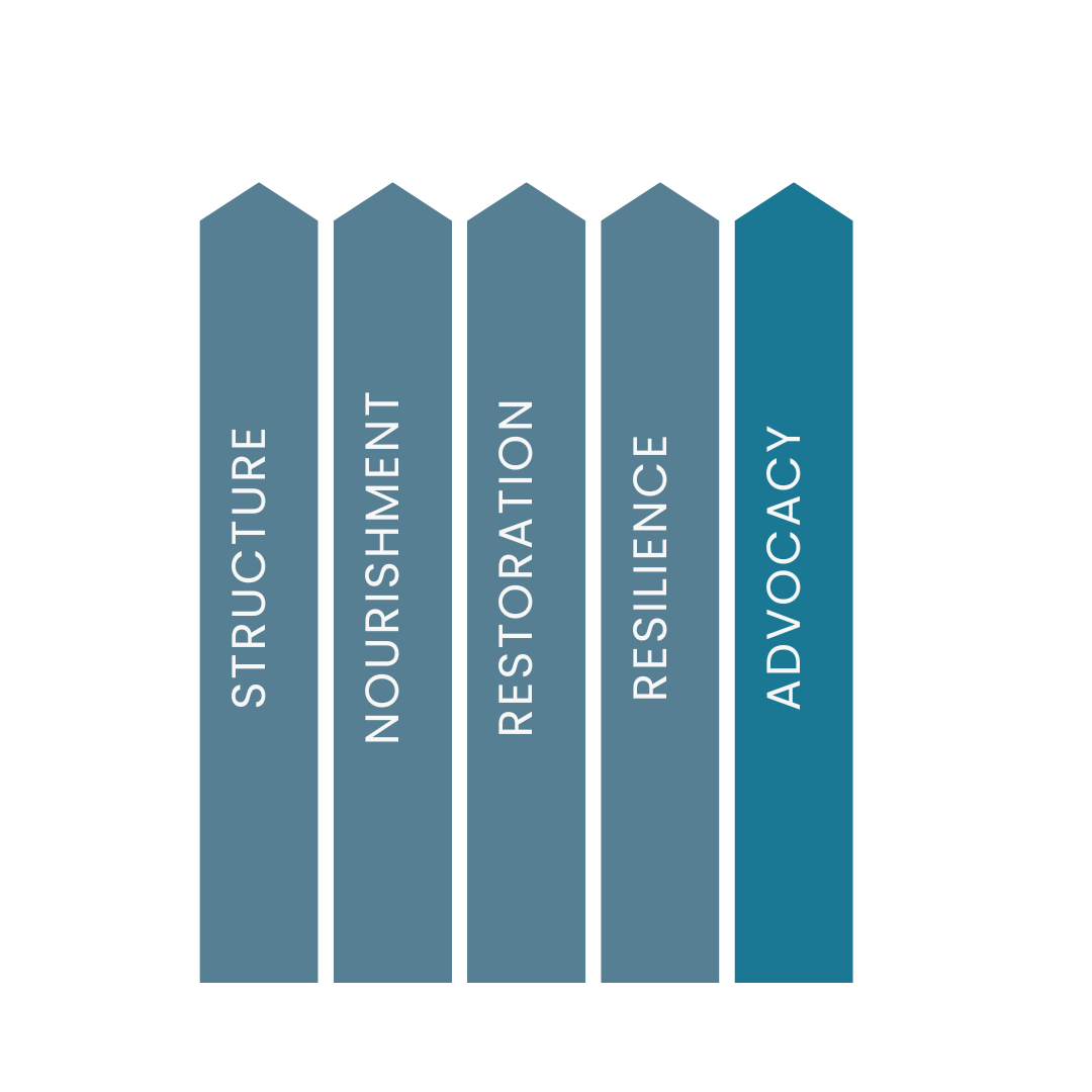 sast 5 core pillars of health2.png