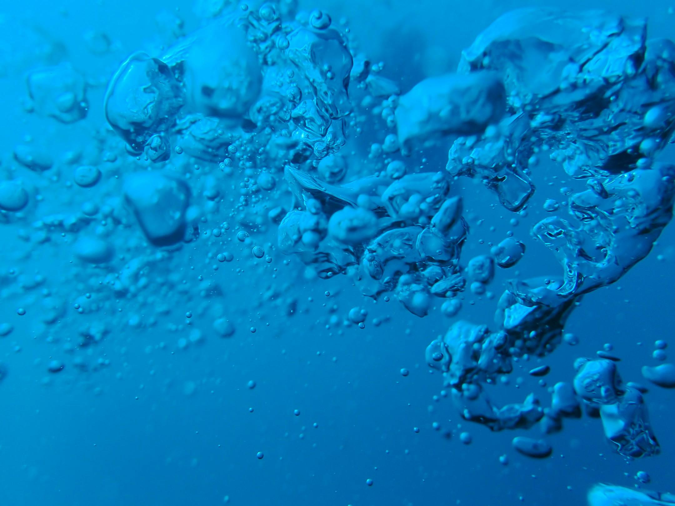 <strong>Ensure Your Pool Stays Perfect with Expert Pool Leak Detection in Fort Lauderdale</strong>