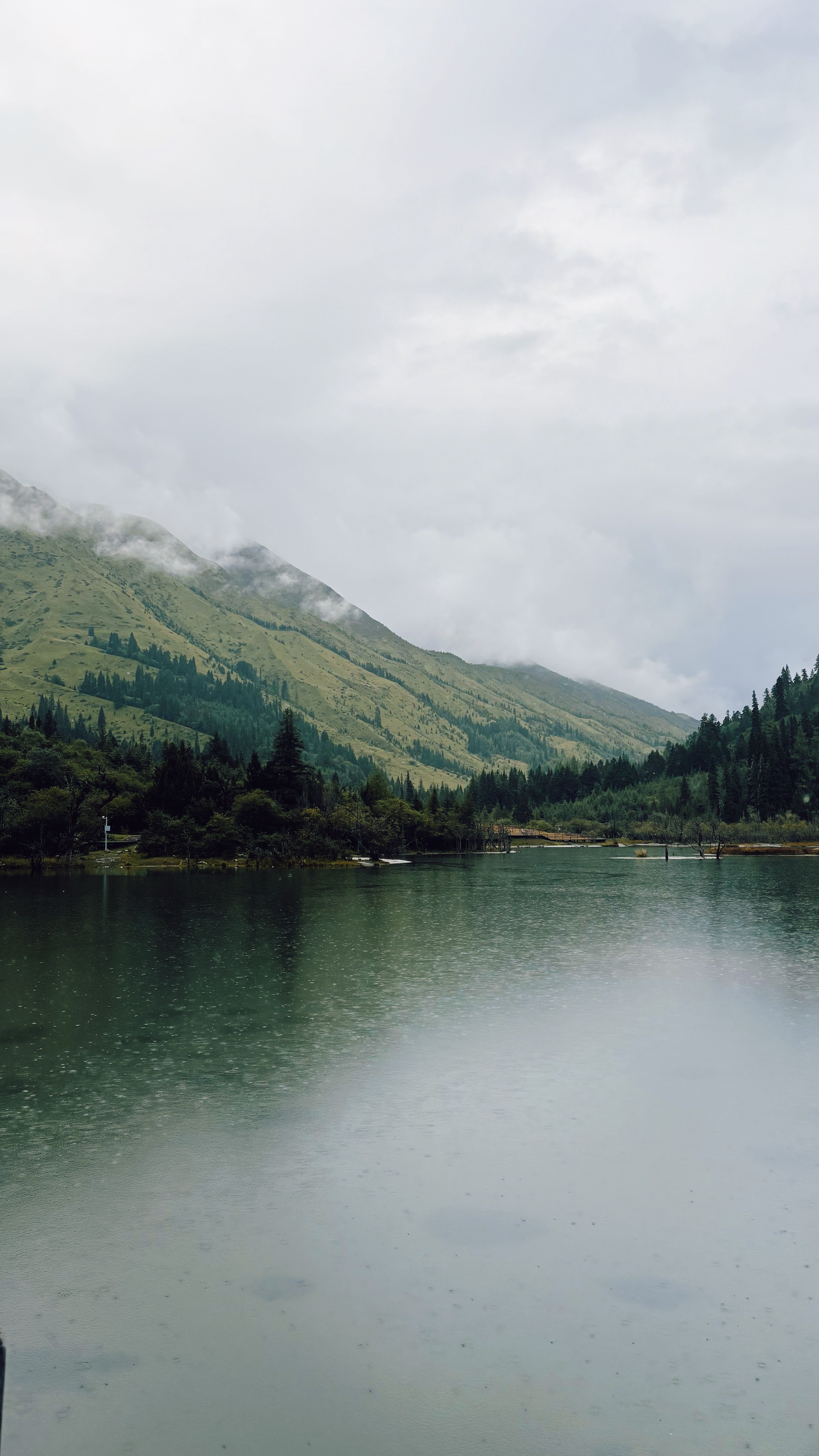 Understanding Complex Trauma and Nervous System Healing