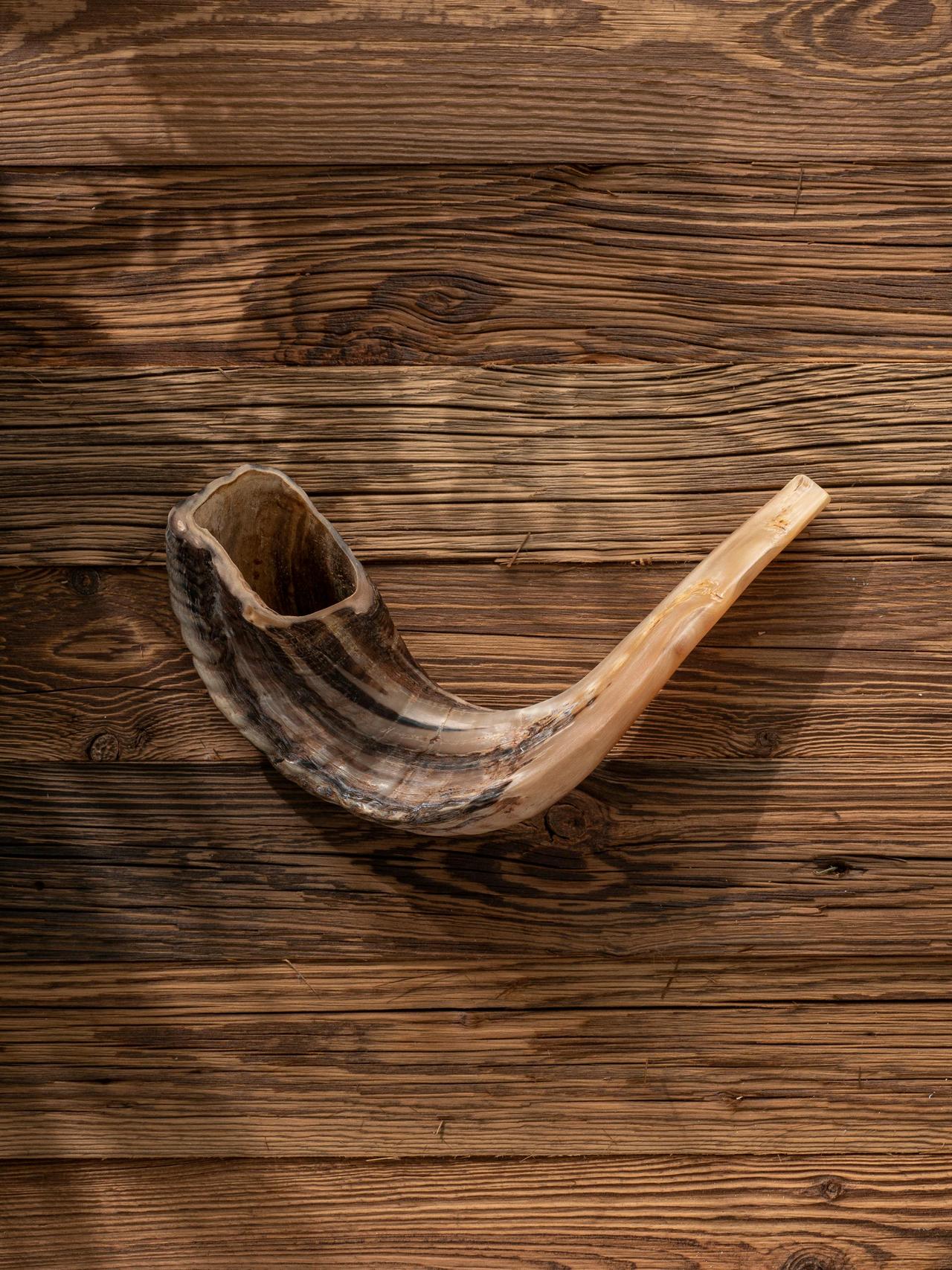 Natural shofar horn prominently displayed on a rustic wooden background, ideal for religious and cultural themes.
