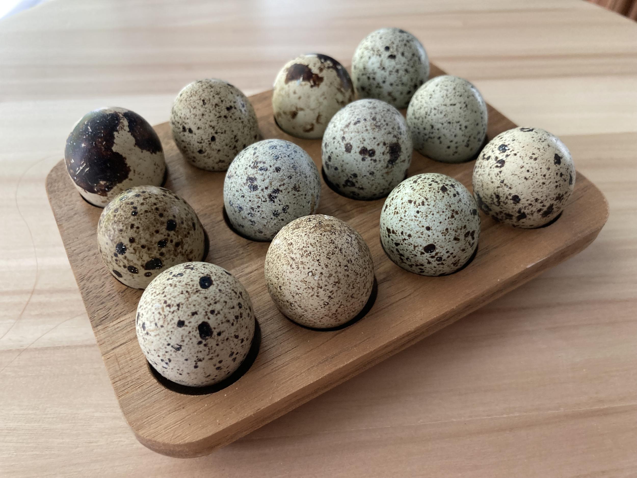 Quail eggs