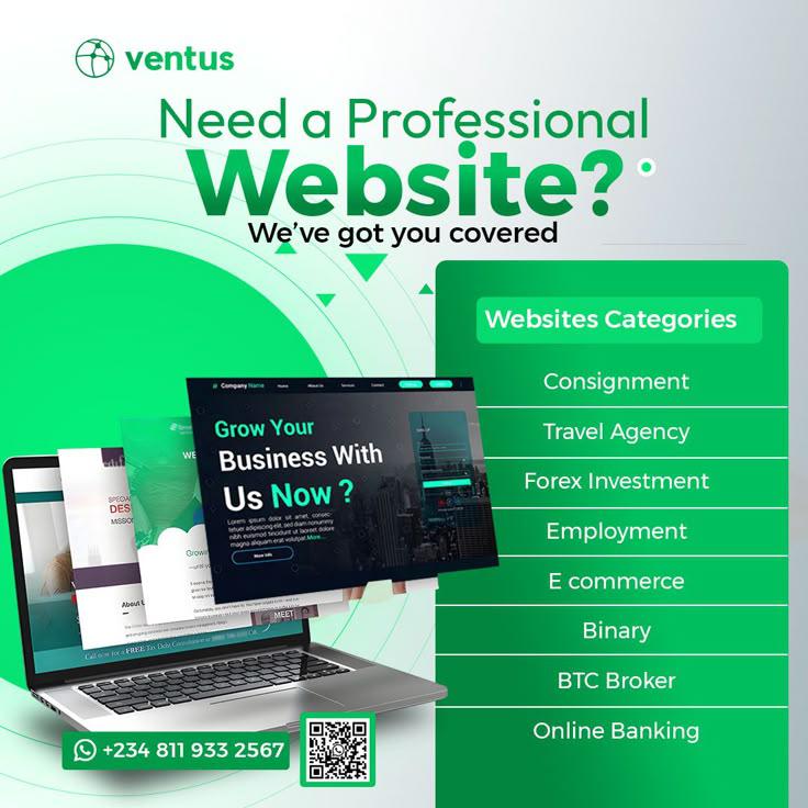 website development flyer design.jpg