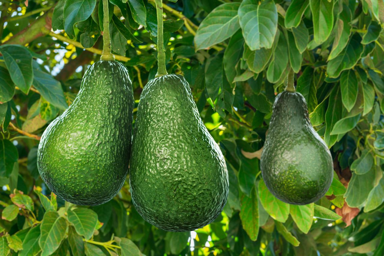 shutterstock_2582398823.jpg