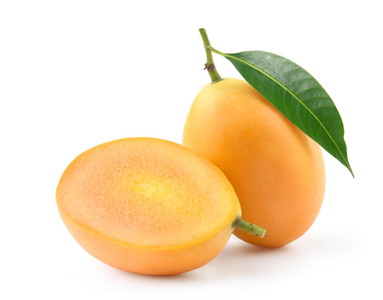 shutterstock_2597998763.jpg