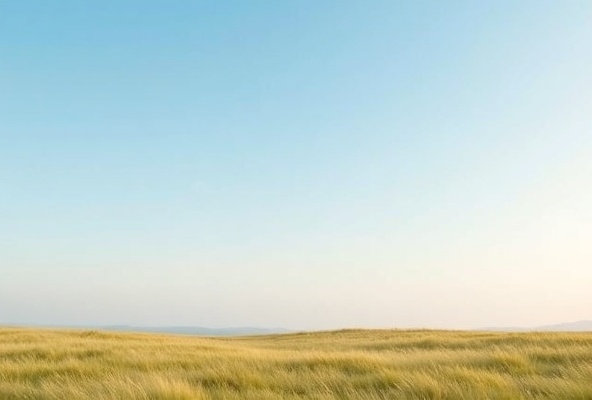 Light and airy landscape with soft blue sky suggesting clarity and open leadership