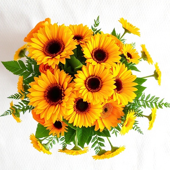 Just Because Sunshine
