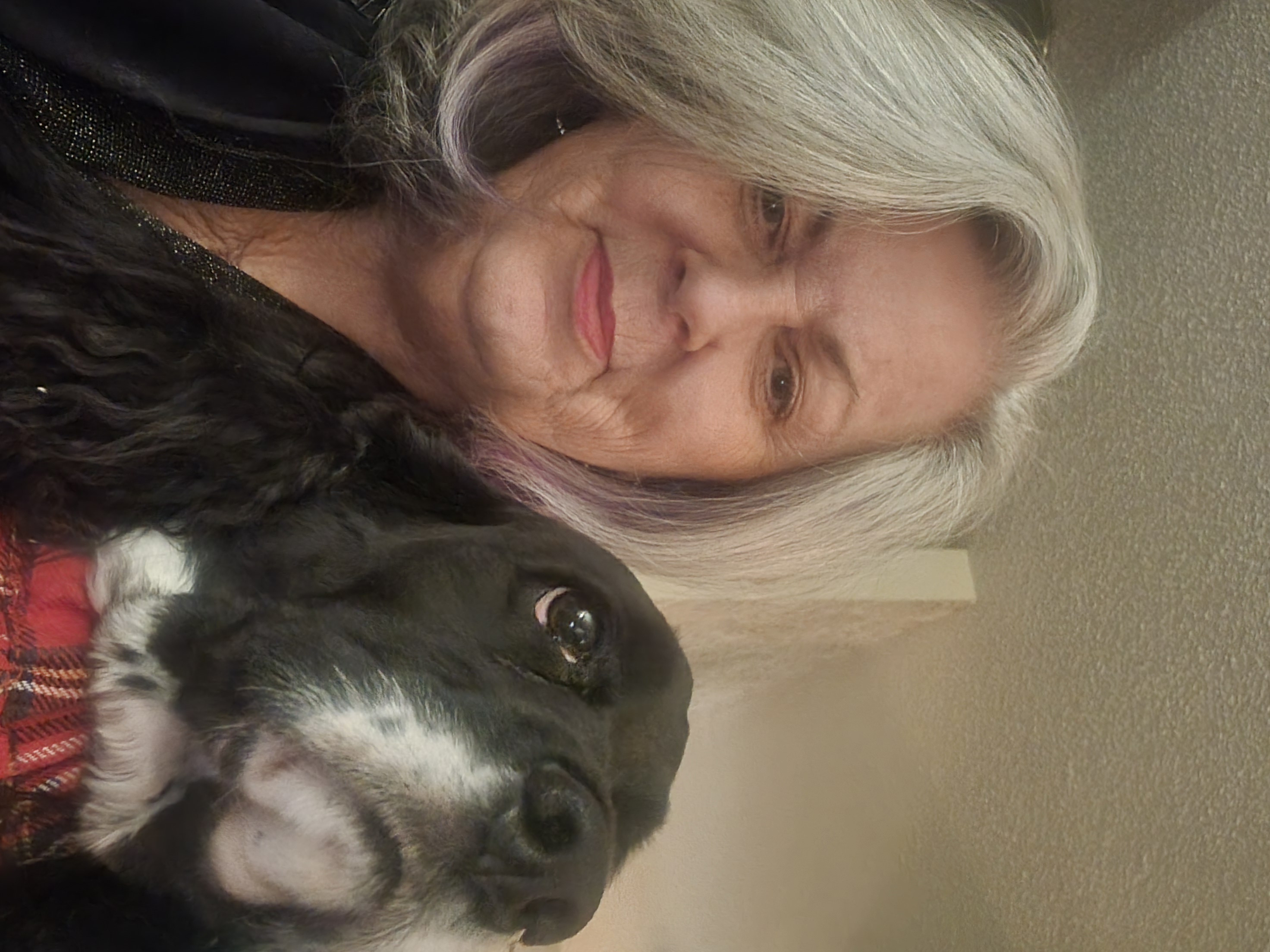 Brenda Videnoff, Wellness Business Consultant