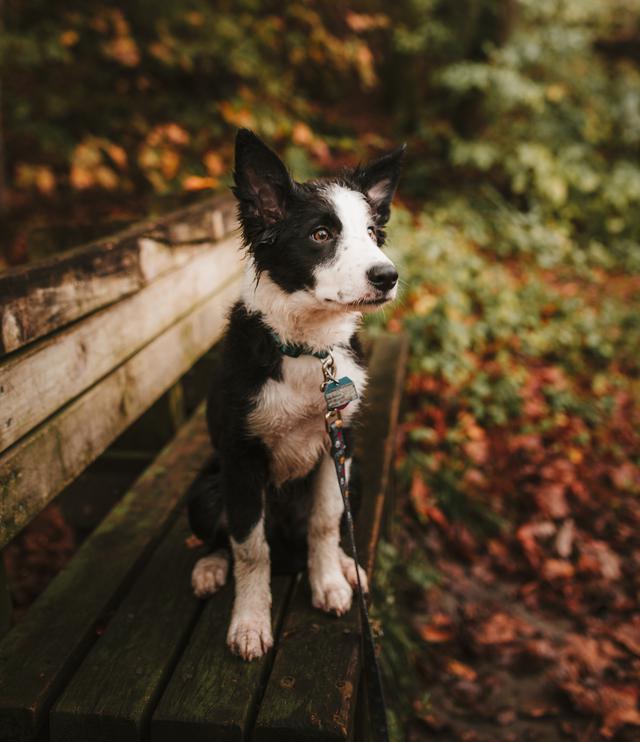 pexels-josh-hild-3009441.jpg