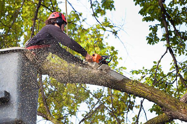 istockphoto-478261537-612x612.jpg