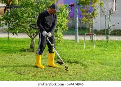 labuanmalaysiafeb-52017the-worker-garden-cuts-260nw-574474846.webp