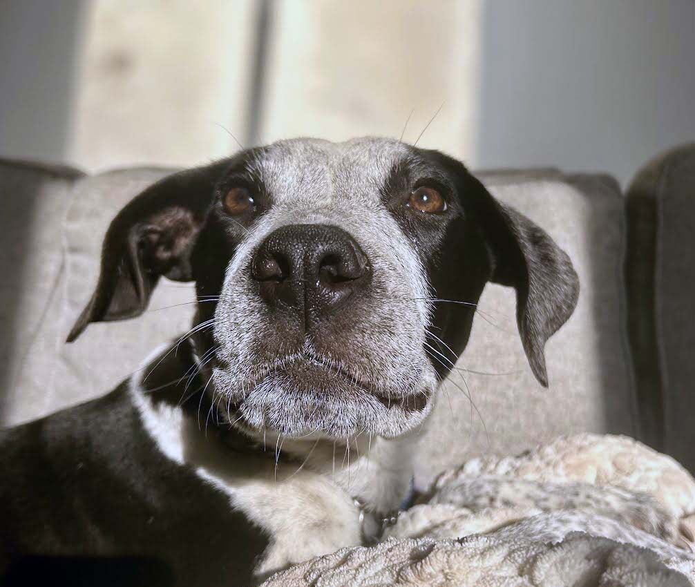 Max