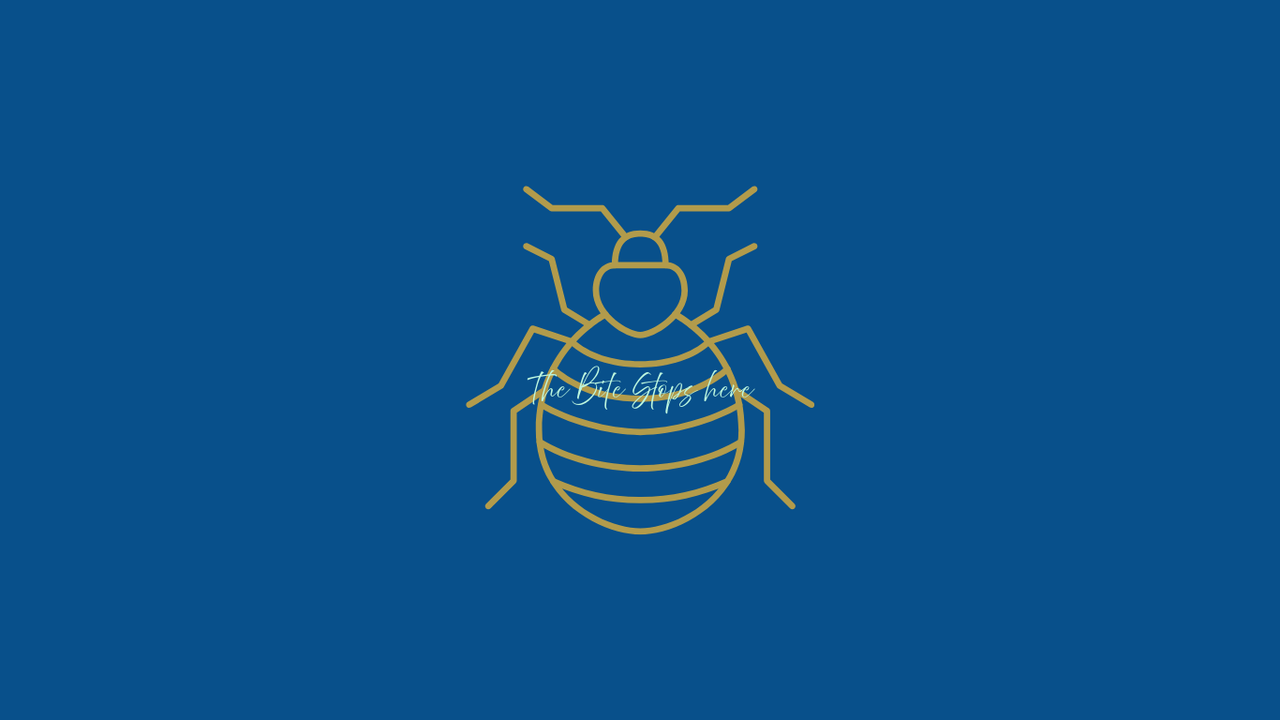 cover (website).zip - 1.png