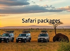 Safari Packages