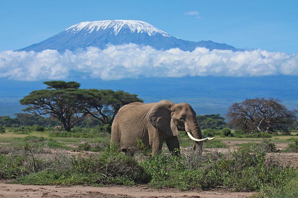 Luxury Safari Lodge