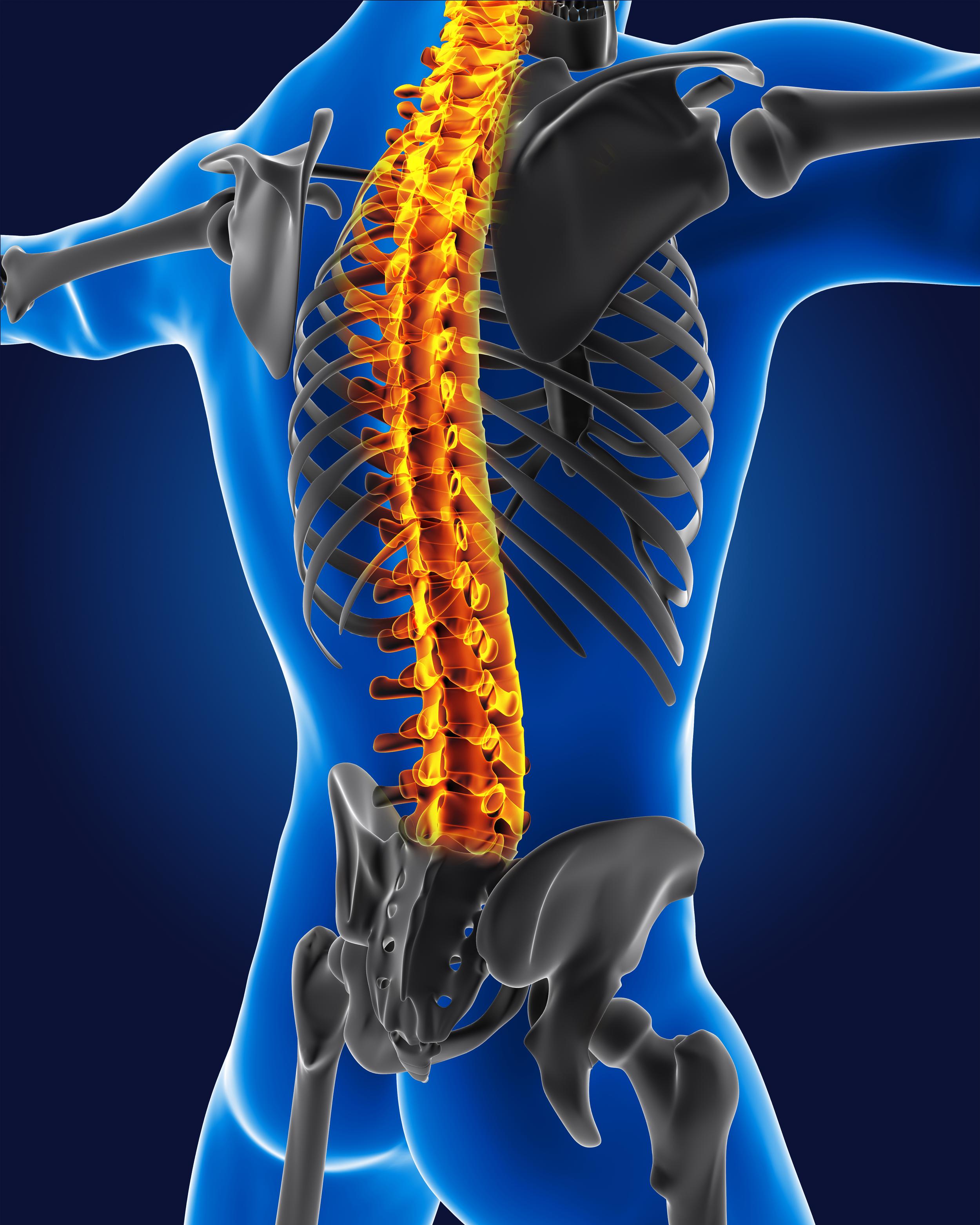 3d-medical-man-with-skeleton-spine-highlighted.jpg