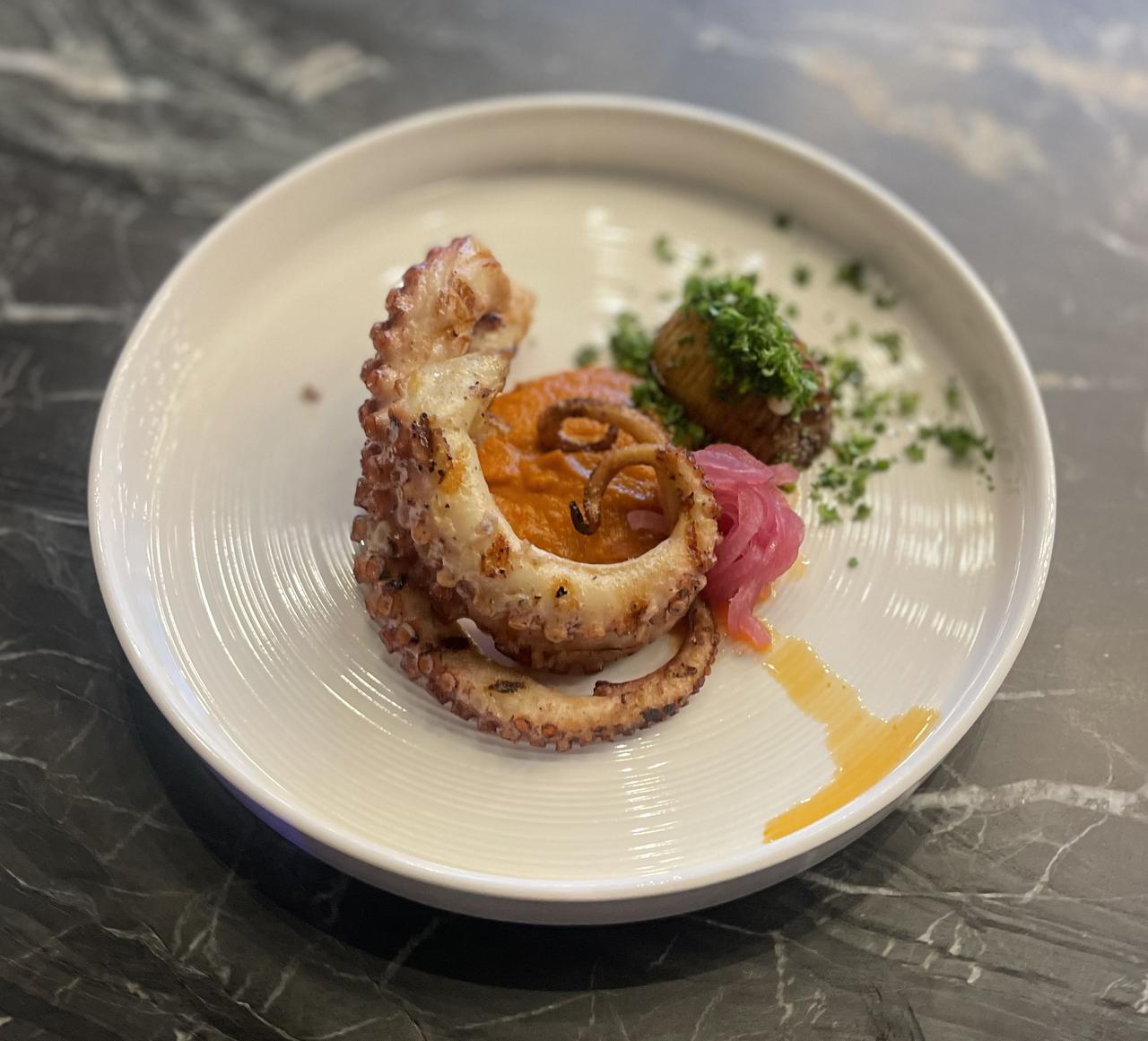 octopus.jpg