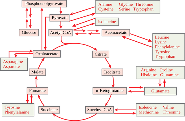 figure_07_06_01.png