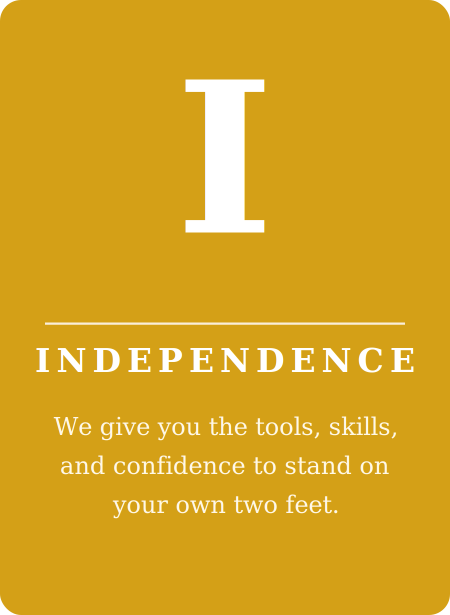 firm_i_independence.png