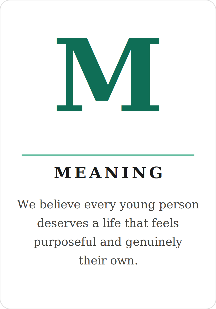 firm_m_meaning.png