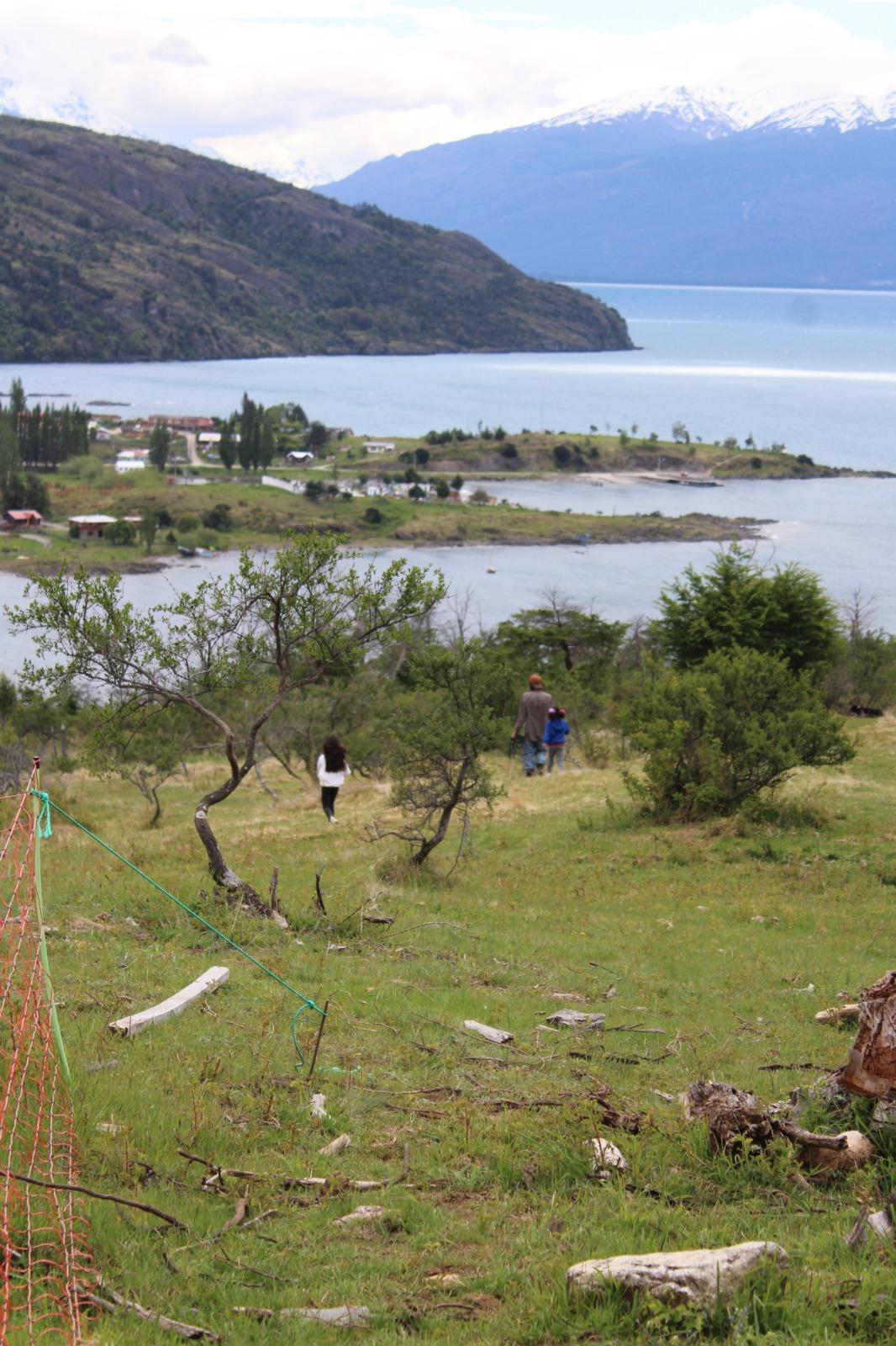 whatsapp image 2025-11-10 at 18.54.18.jpeg