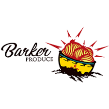 Gold Sponsor