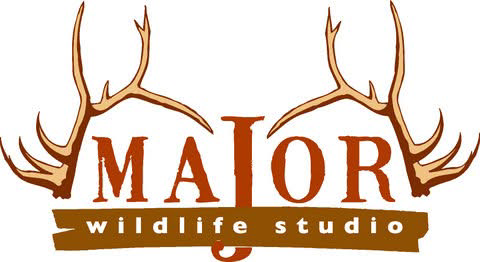 Silver Sponsor