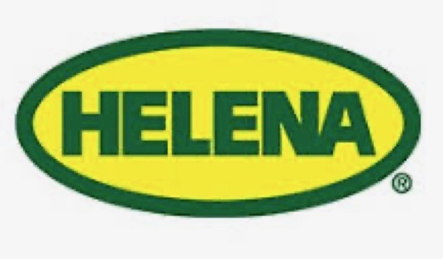Silver Sponsor