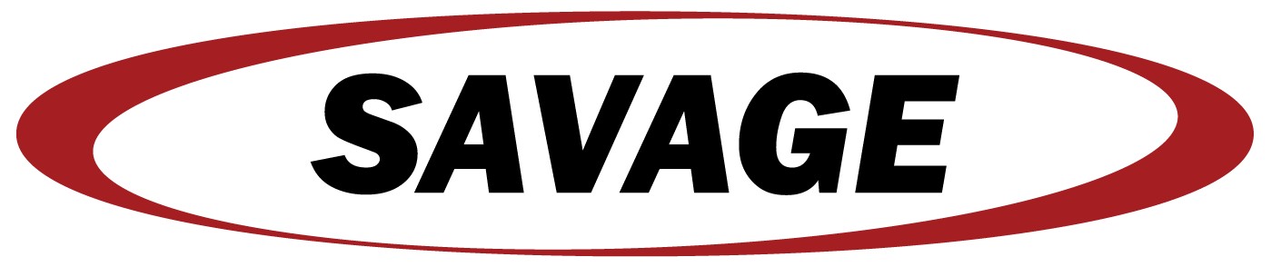 Gold Sponsor