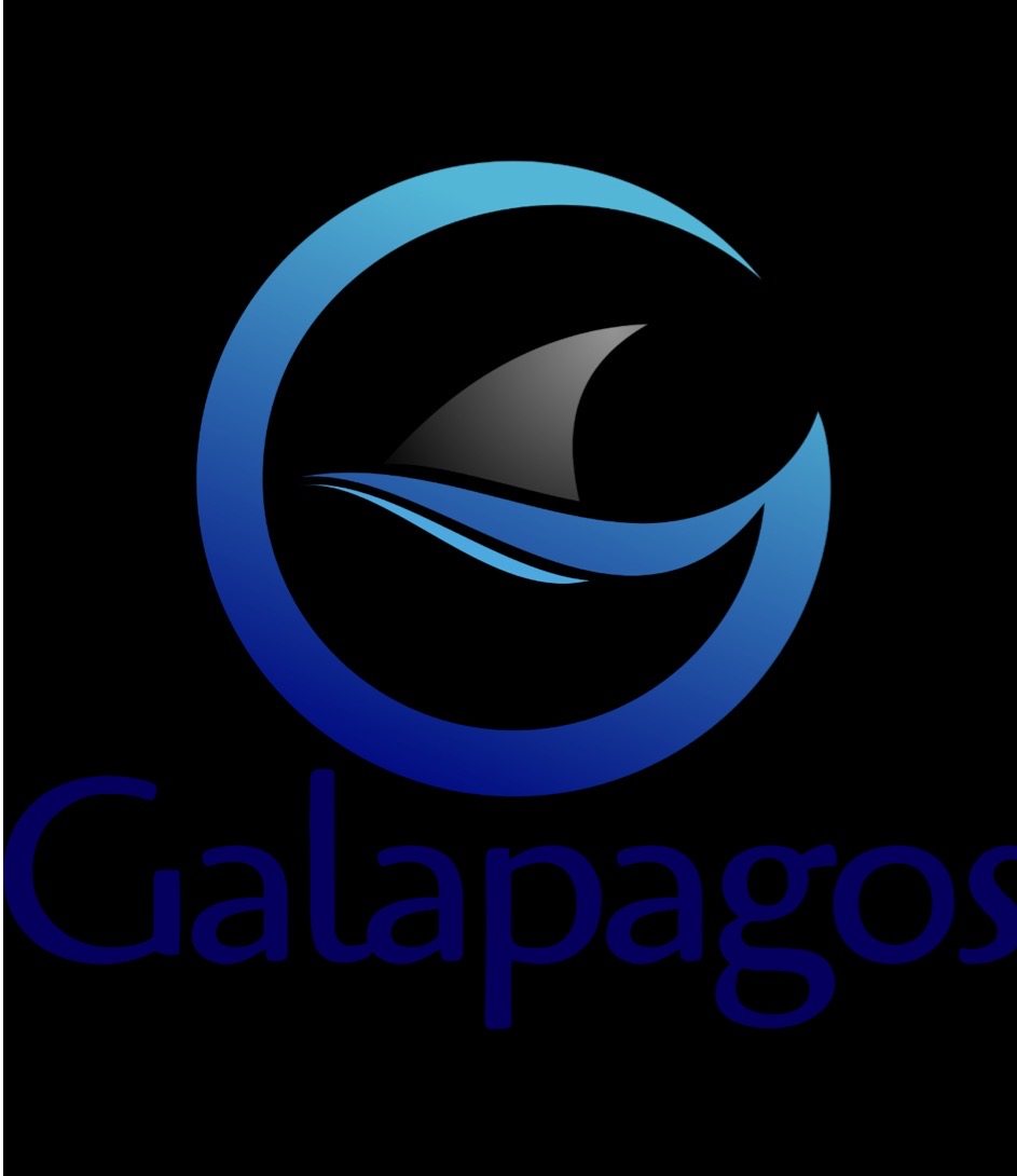 Silver Sponsor