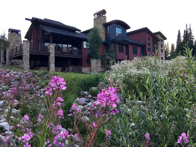 timberline with no background sky.jpg