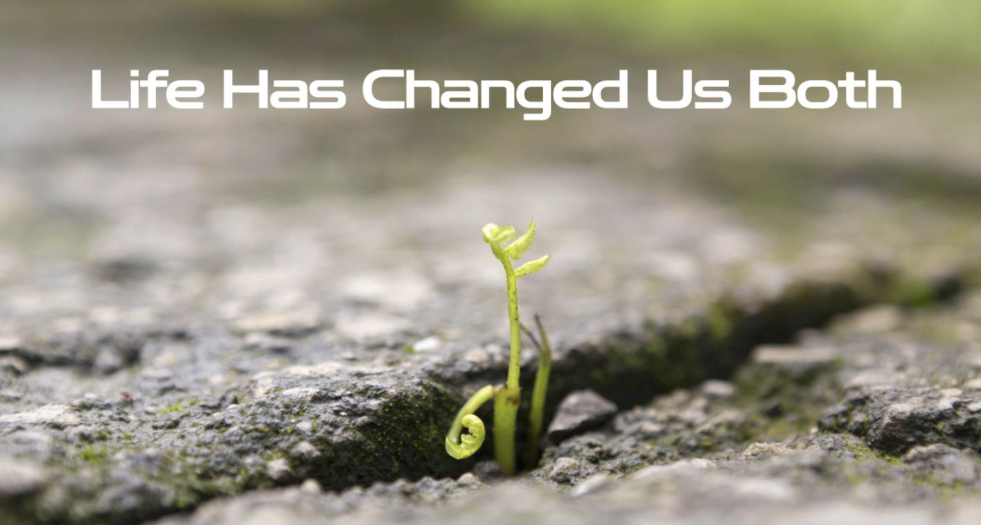 screenshot 2024-03-15 at 4.31.29 pm.png