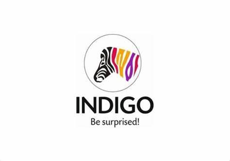indigo.jpg