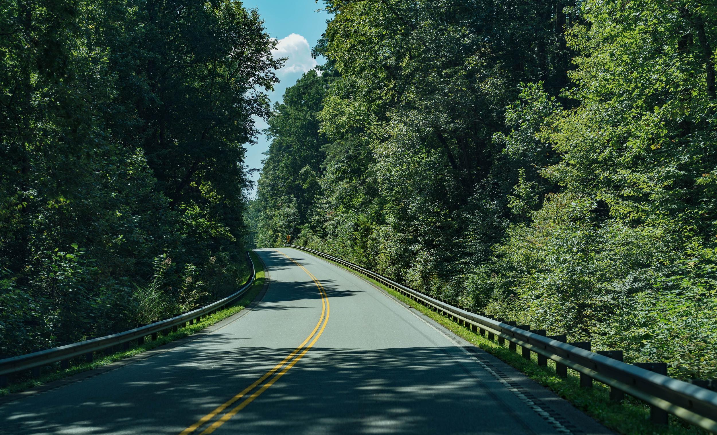road-in-the-north-carolina-hills-2026-03-18-09-47-06-utc.jpg
