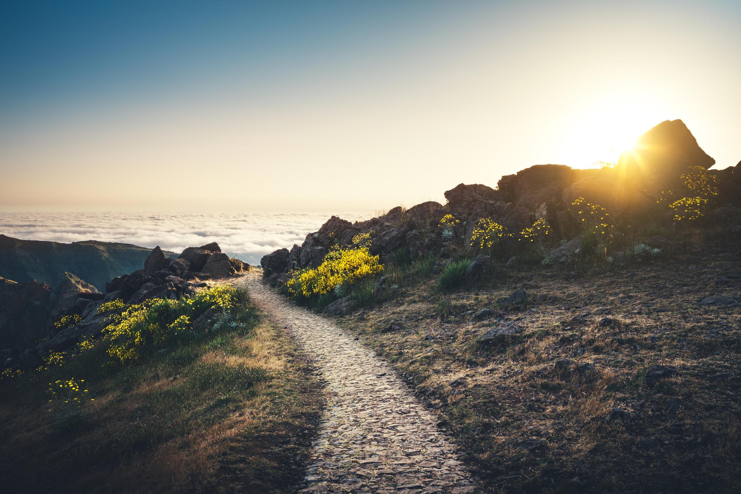 istock-869241738.jpg