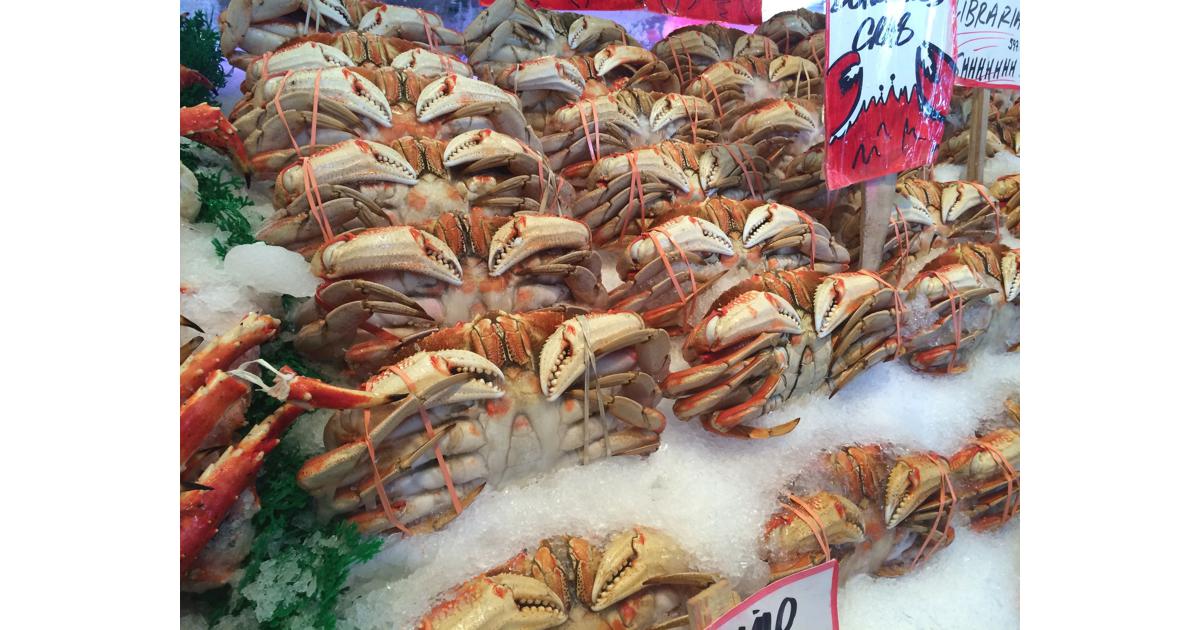 A Seafood Supplier’s Guide on Fresh Versus Frozen