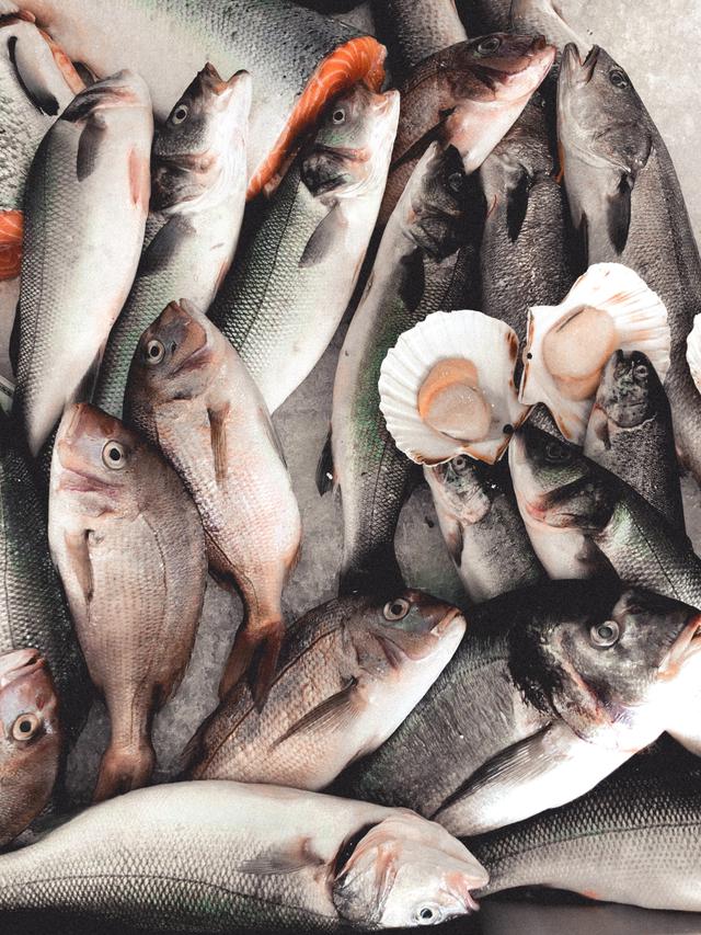 What is Sustainable Seafood?