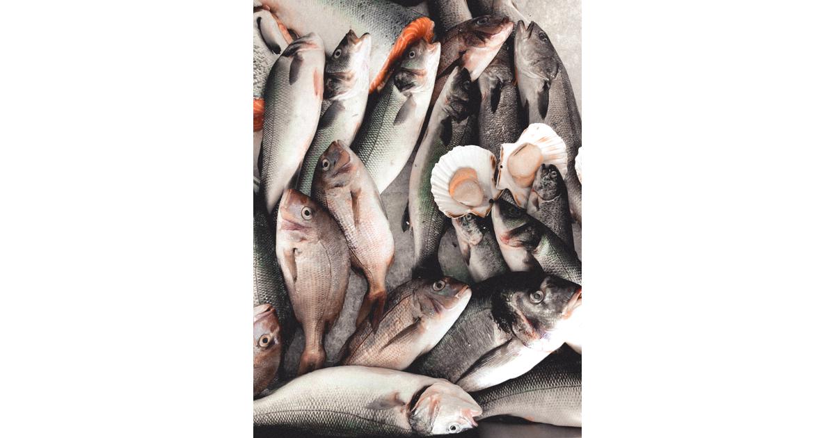 What is Sustainable Seafood?