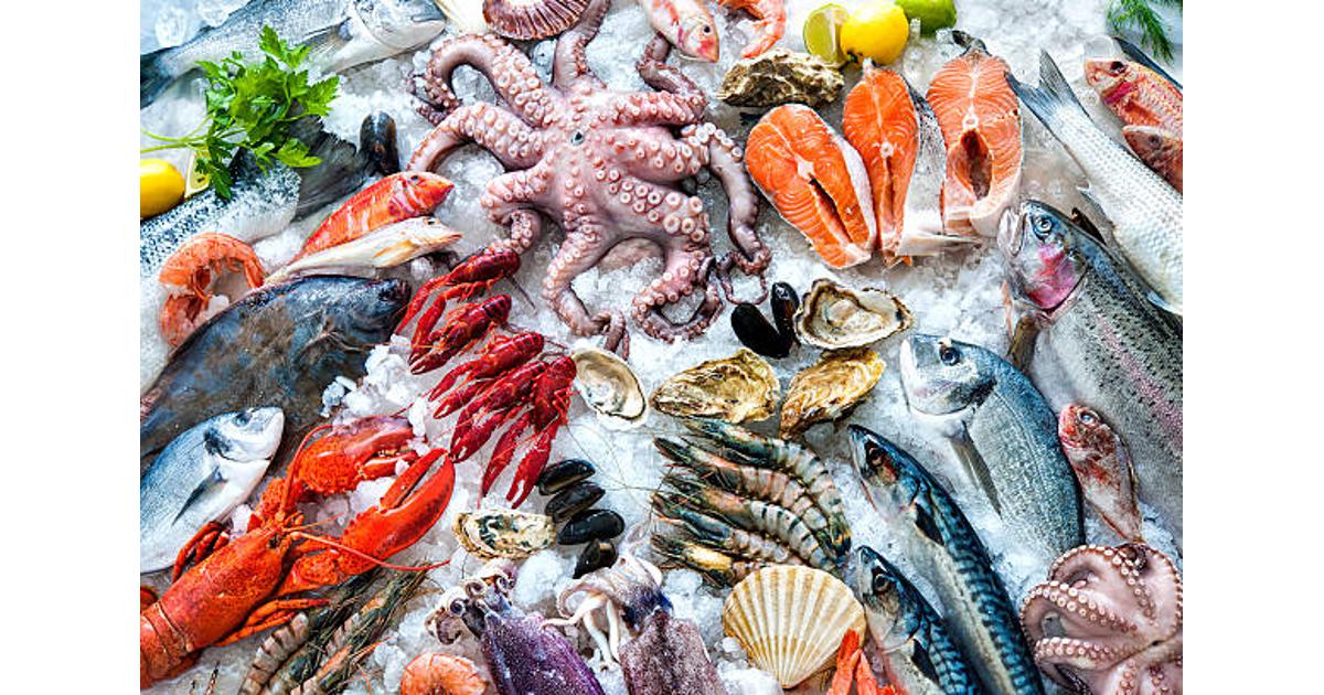 What is sustainable seafood?